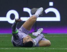 AYX-C罗连续十二场比赛得分超过连败，加拿大队挑战极限！的简单介绍