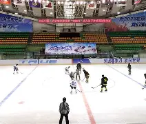 爱游戏体育-包含冰球赛场再起风云：江汉风暴队惊险晋级蓬莱烈马队，赛场气氛火爆争冠格局再洗牌的词条